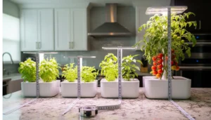 A visual comparison of different AeroGarden models, from the compact Sprout to the large Farm, illustrating their size, height, and capacity differences for a comprehensive AeroGarden review.