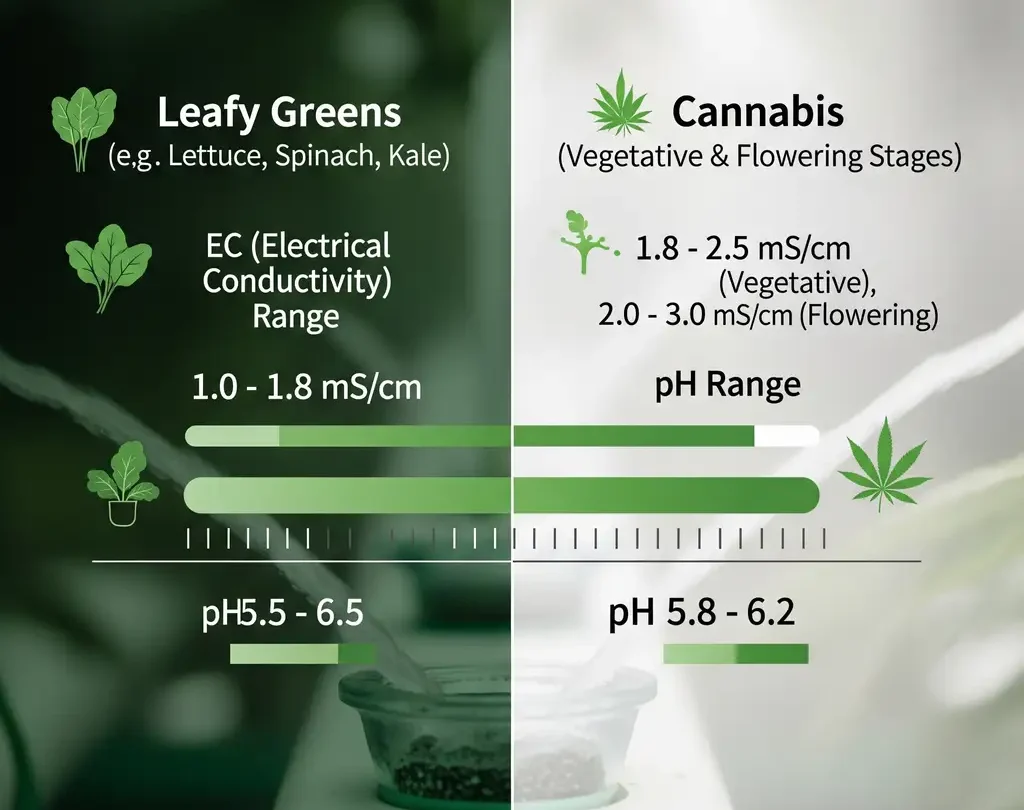 Aeroponic Nutrient Warfare: The Ultimate Guide to Feeding Your Tower 1 A hydroponic grower carefully misting the leaves of a plant with a foliar spray to provide a direct nutrient supplement.