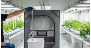 A person measuring head height for proper hydroponic pump sizing in an indoor grow room.