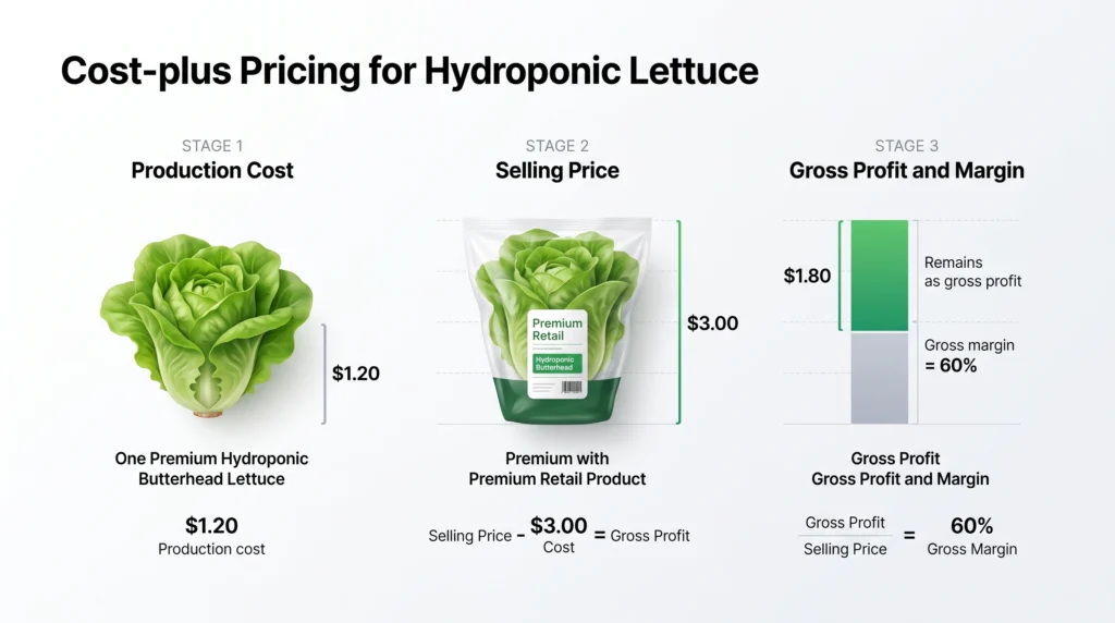 Wholesale Pricing Strategies for Hydroponic Produce: From Cost-Plus to Value-Based 2 Step-by-step visual calculation showing how a hydroponic lettuce production cost becomes a profitable selling price with a 60 percent gross margin