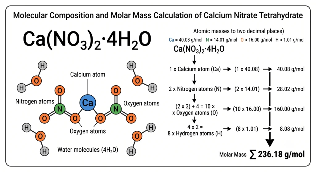 Scientific chemistry illustration showing the molecular structure of calcium nitrate tetrahydrate with atomic weights and molar mass calculation used in hydroponic nutrient formulation.