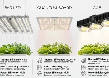 Bar LED vs Quantum Board vs COB grow lights showing thermal efficiency and PPFD distribution comparison.