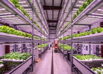 DIY hydroponic system | A sprawling indoor vertical farming setup featuring deep water culture and nutrient film technique channels under bright LED grow lights.