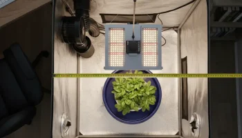 A clean, bird's-eye view looking directly down into an open 2x2 hydroponic grow tent, set up in a cozy home environment. The interior is organized with geometric precision: a central Deep Water Culture (DWC) bucket with plants, a square LED grow light hanging above it, and a black inline fan and carbon filter unit mounted neatly in the top-left corner. A yellow tape measure is stretched across the top opening, showing the exact dimensions. The scene is slightly cinematic with soft light emphasizing the orderly, space-efficient arrangement.