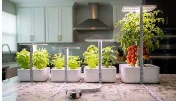 A visual comparison of different AeroGarden models, from the compact Sprout to the large Farm, illustrating their size, height, and capacity differences for a comprehensive AeroGarden review.