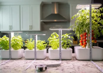 A visual comparison of different AeroGarden models, from the compact Sprout to the large Farm, illustrating their size, height, and capacity differences for a comprehensive AeroGarden review.