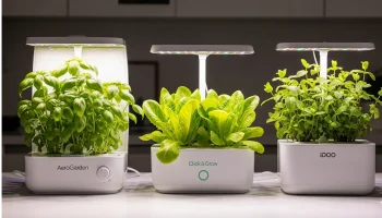 A side-by-side comparison of the AeroGarden, Click & Grow, and iDOO countertop hydroponic systems, illustrating their design differences and ideal use cases.