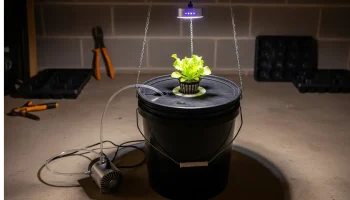 A simple, DIY budget hydroponic system built from a 5-gallon bucket and an air pump, demonstrating what is possible to build for under $100.