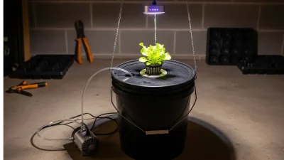 A simple, DIY budget hydroponic system built from a 5-gallon bucket and an air pump, demonstrating what is possible to build for under $100.