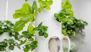 Fail-proof DIY aeroponic tower with healthy roots and high-pressure system.
