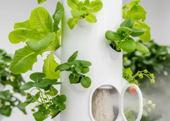 Fail-proof DIY aeroponic tower with healthy roots and high-pressure system.