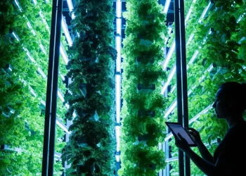 A comprehensive guide to high-yield hydroponic leafy greens and indoor farming.